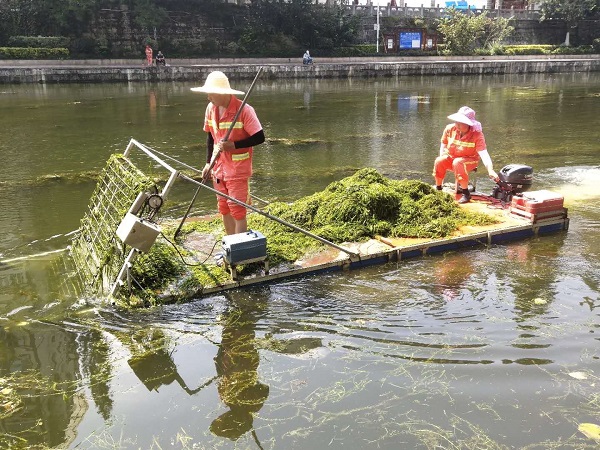 河道清理保洁包括哪些