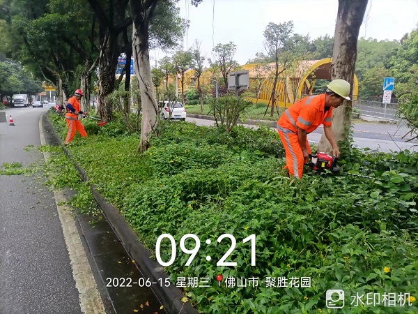 项目动态 | 打造美丽凤城，筑文明城市生态